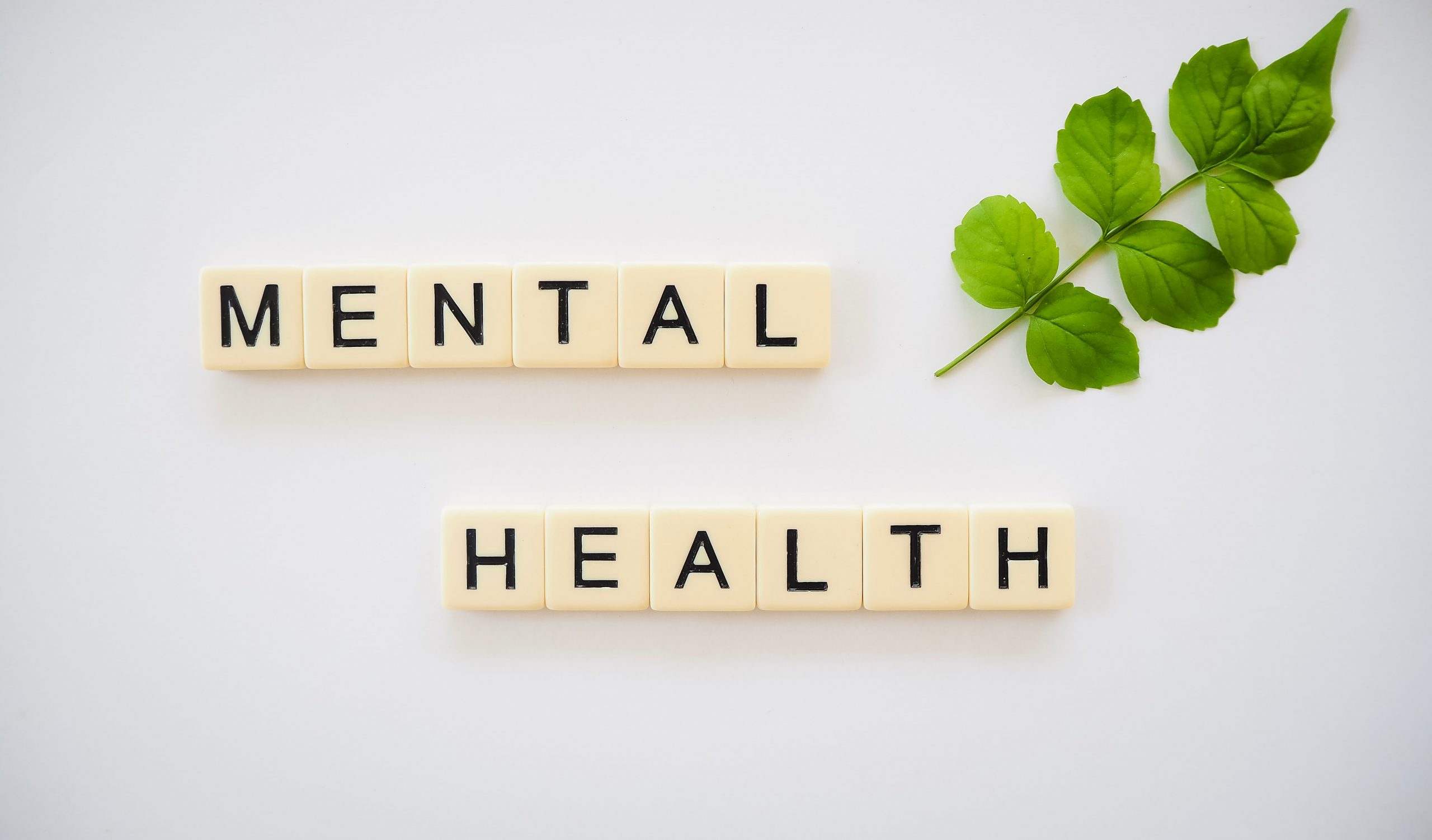 The Impact of Cannabis Use Disorder on the Risk of Psychotic and Nonpsychotic Bipolar Disorder and Unipolar Depression